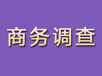 罗田商务调查